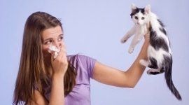 cura allergia pelo di animali, trattamento allergia pelo di animali
