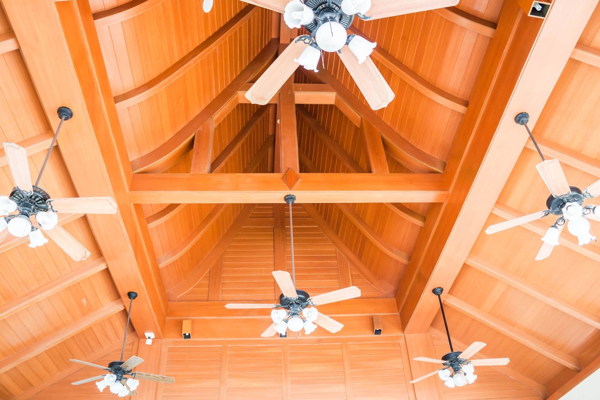 Wooden vaulted ceiling with multiple ceiling fans and lights.