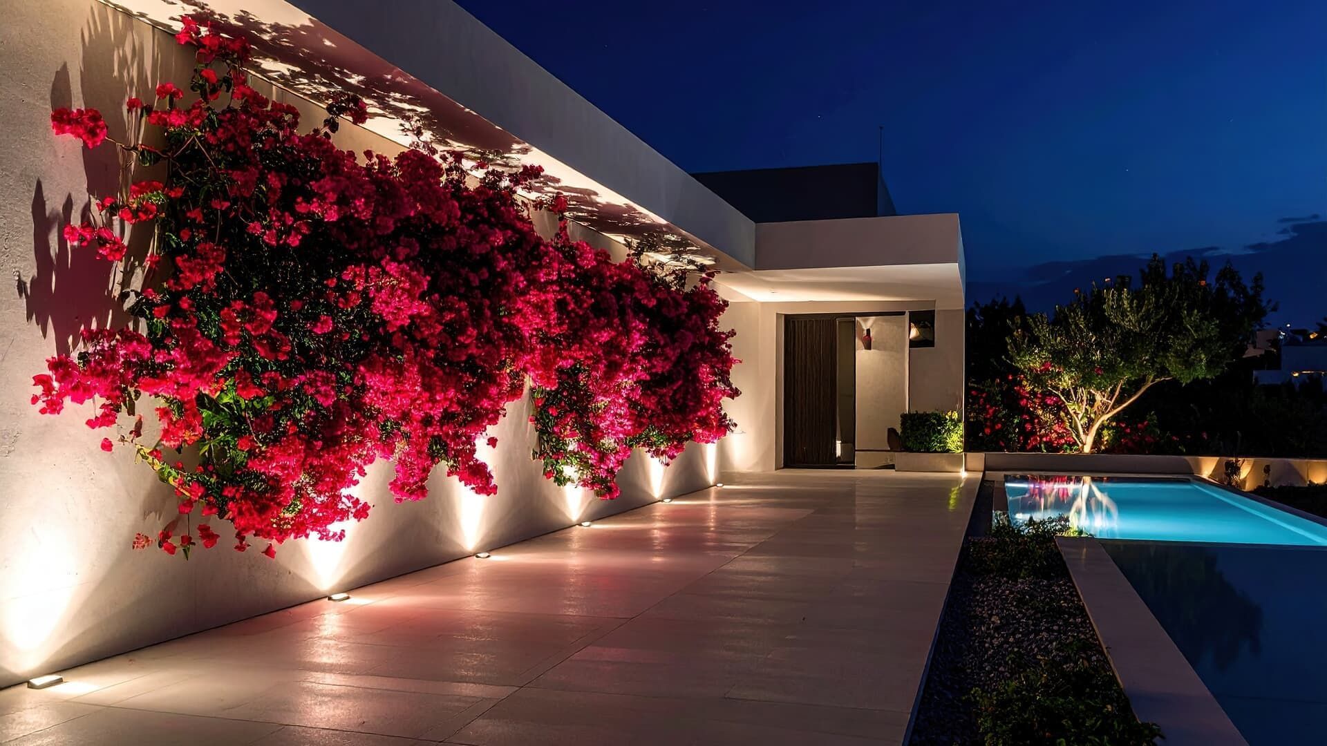 Exterior view of a modern building at night, with illuminated flowers on the wall and a pool.