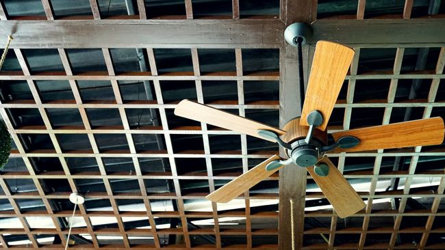 Ceiling fan with wooden blades, hanging below a latticed wooden ceiling.