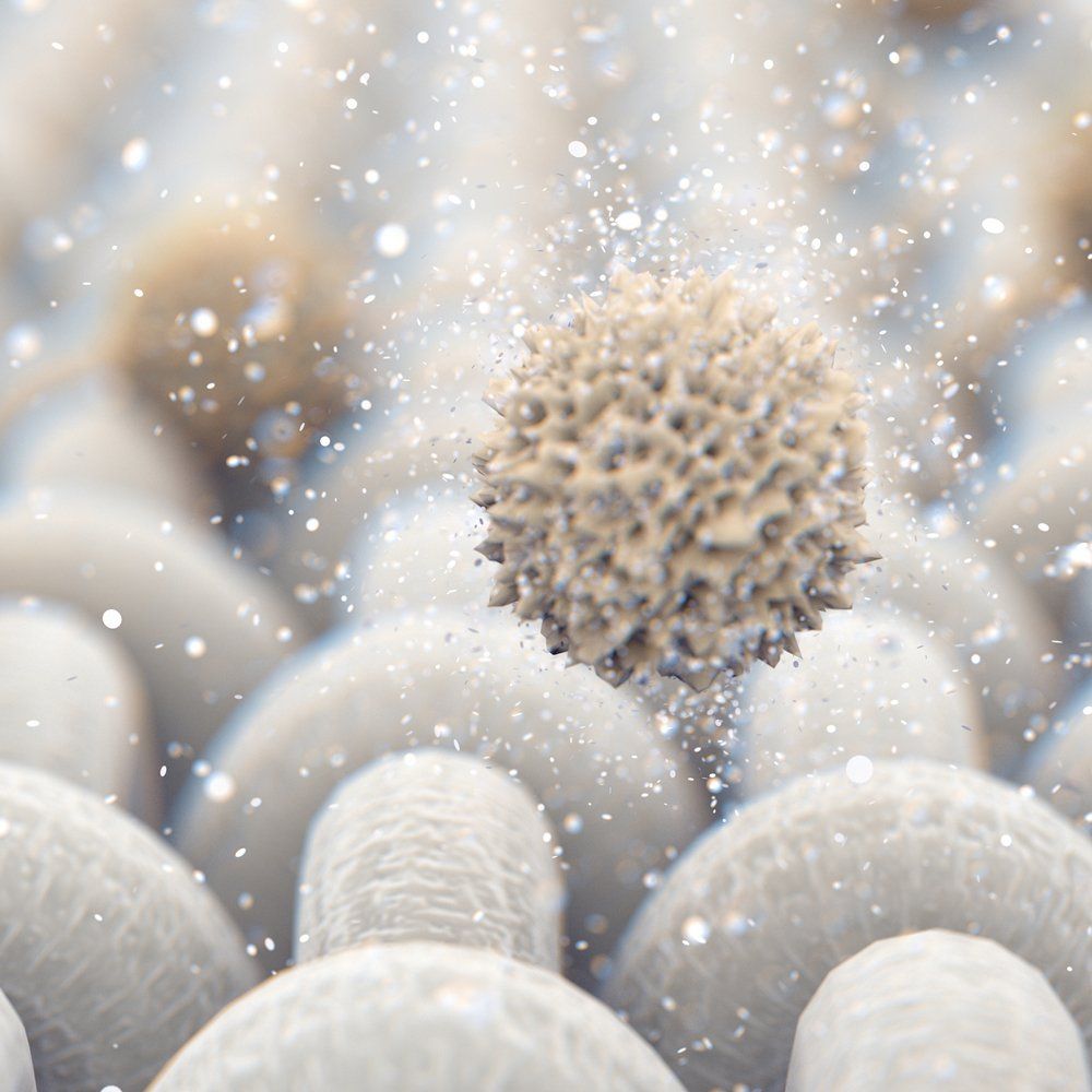 Dust — Orem, UT — Bergmann Heating & Air Conditioning