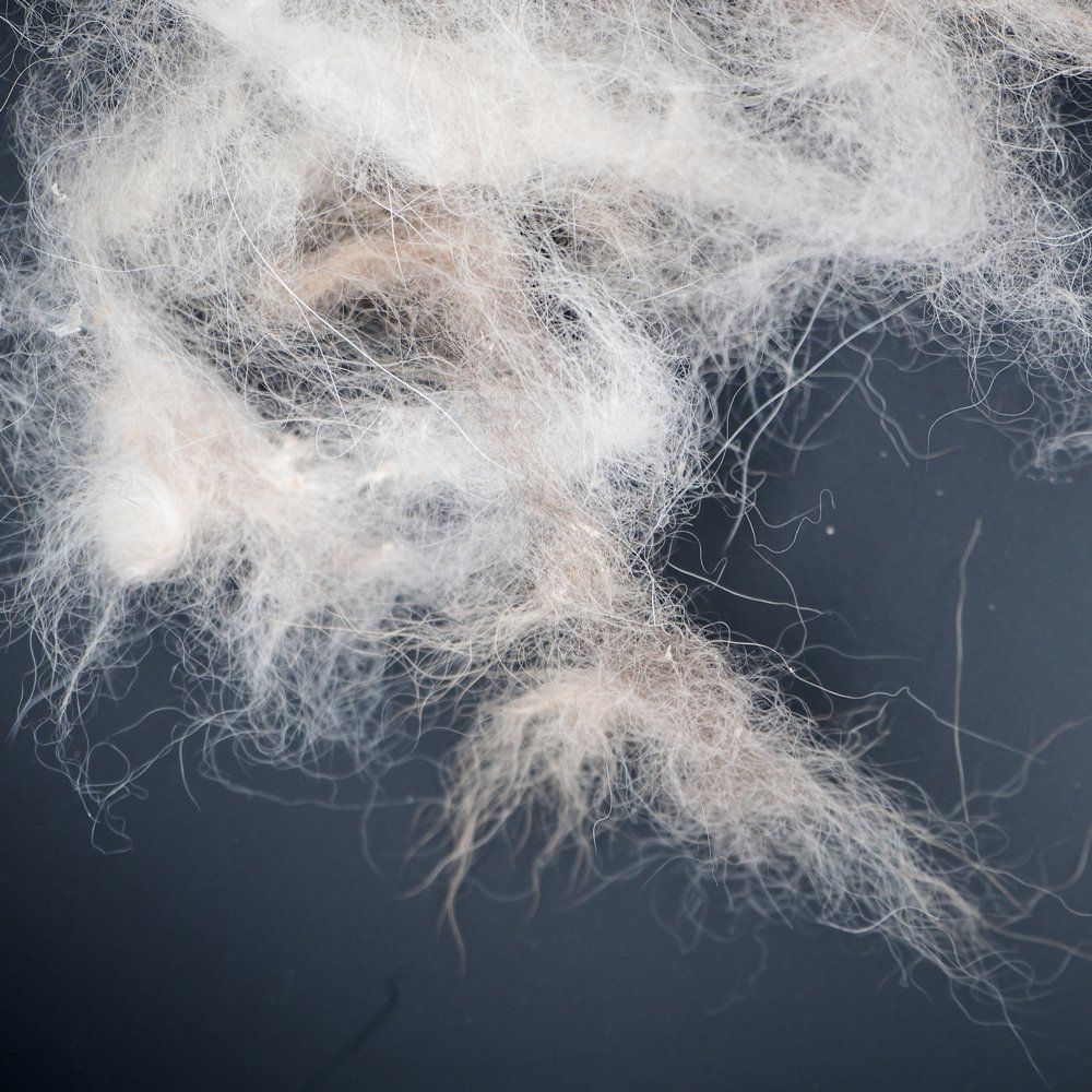 Dander — Orem, UT — Bergmann Heating & Air Conditioning