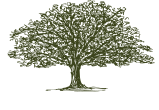 CLC Financial Services LLC