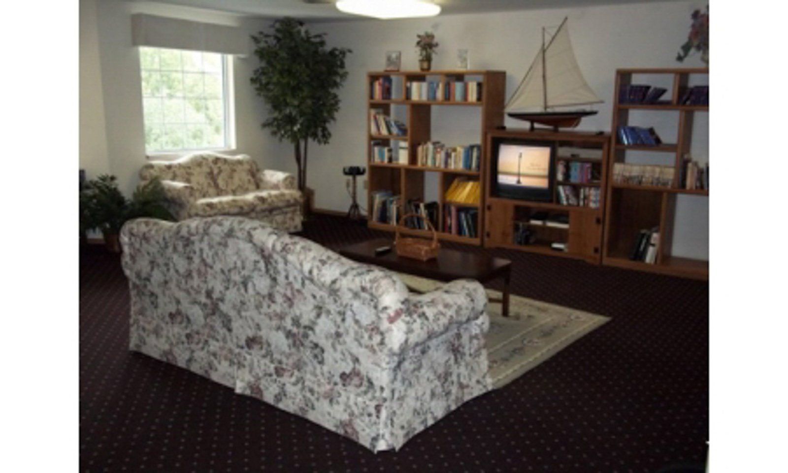 community living room with library and tv