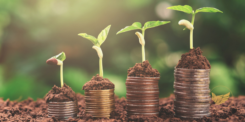 A stack of coins with plants growing out of them.