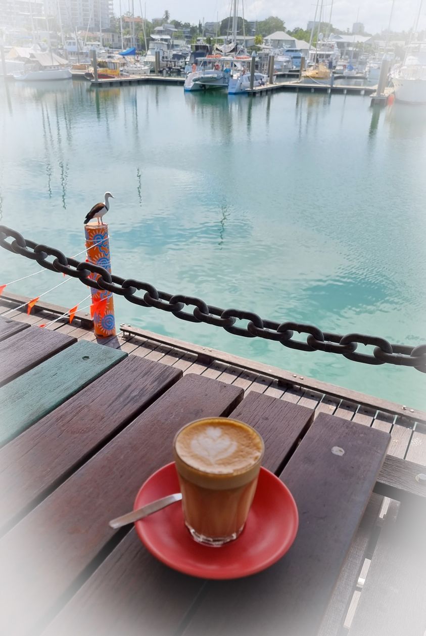 A Cup Of Coffee Next to The Water — Adding Value CFO Pty Ltd in Larrakeyah, NT