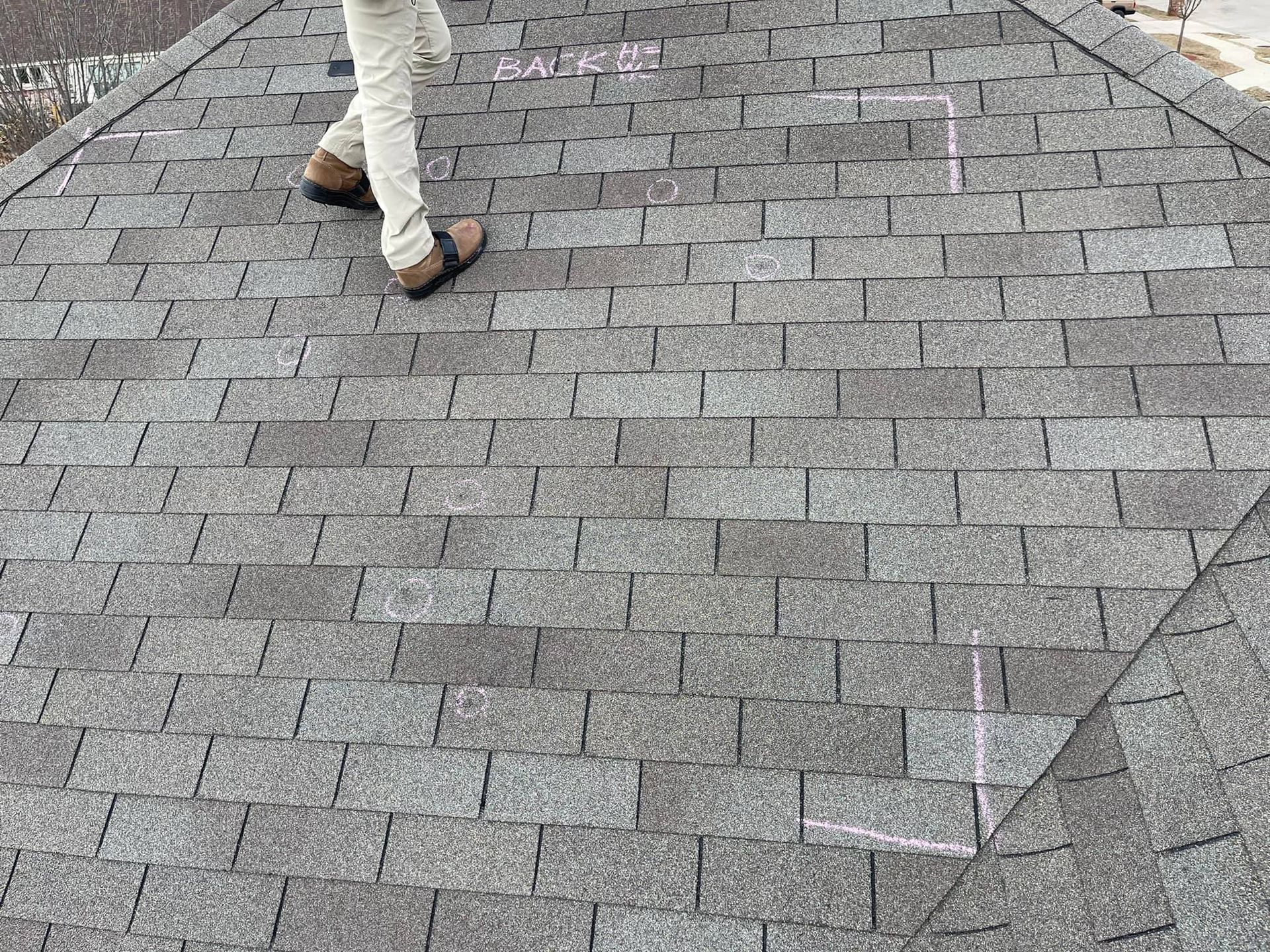 Person on a gray shingle roof, marked with pink chalk.