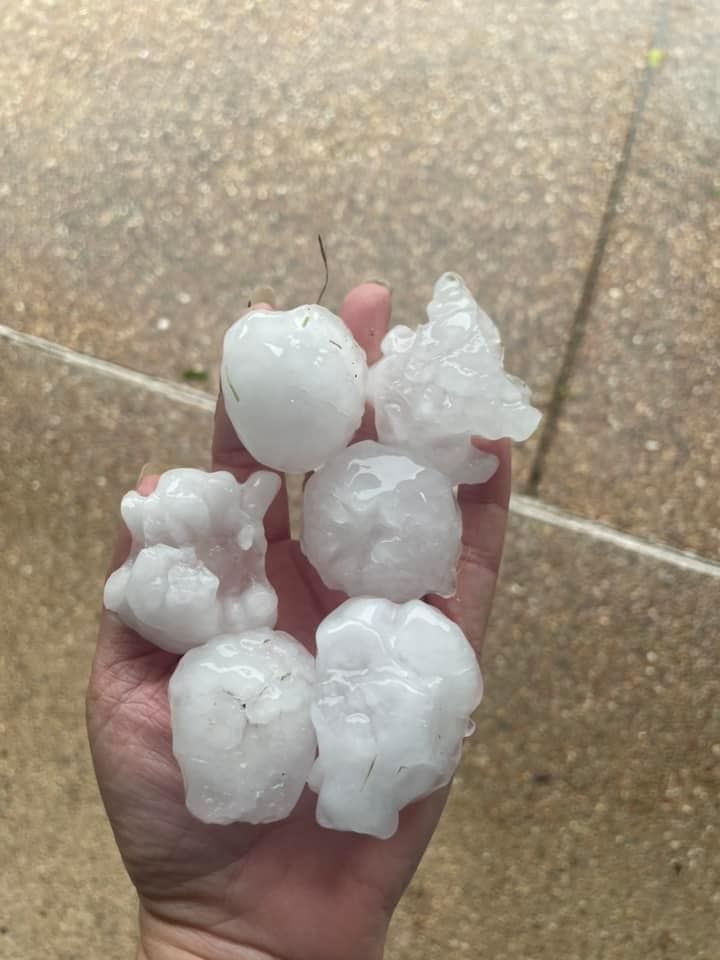 Hand holding several large hailstones on a wet, textured surface.