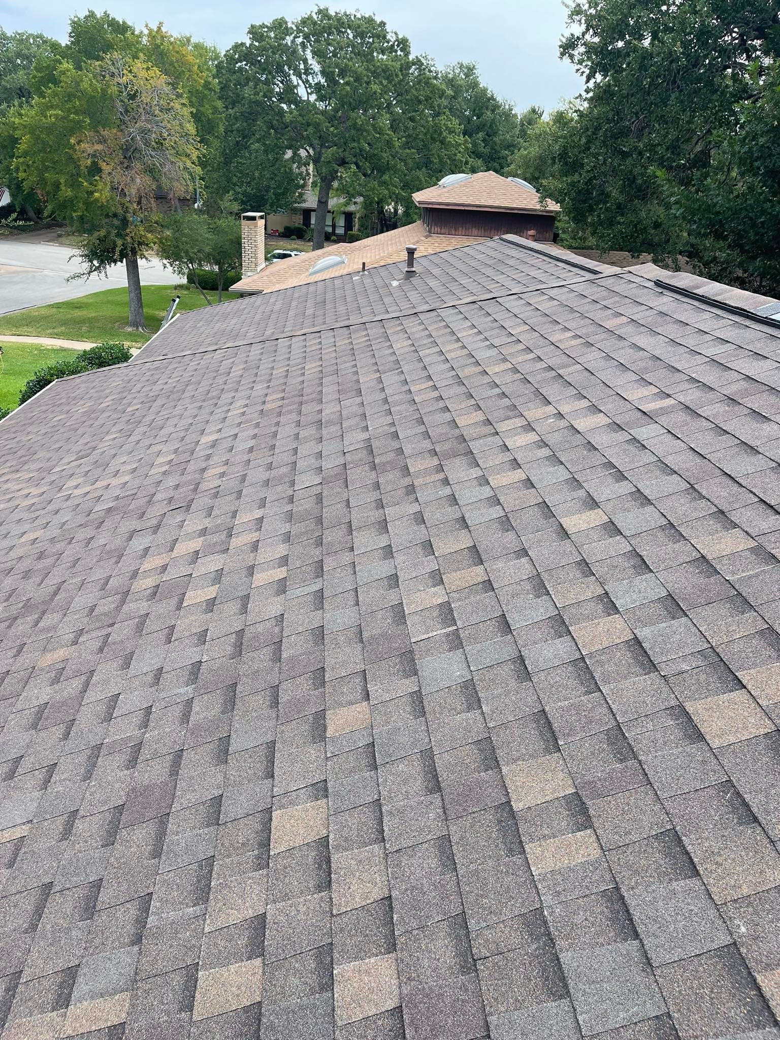 A brown asphalt shingle roof with some discoloration, seen from above, with trees in the background.