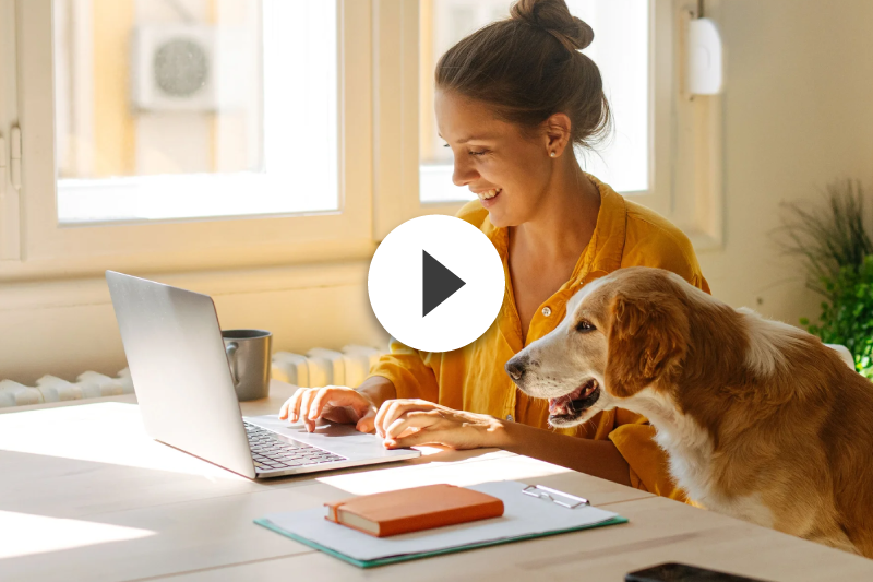 A woman is sitting at a desk with a laptop and a dog.