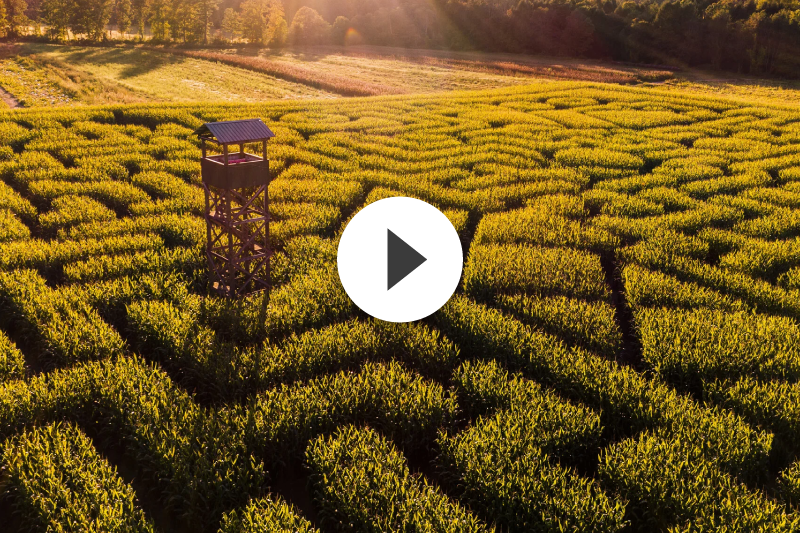 An aerial view of a maze with a play button in the middle