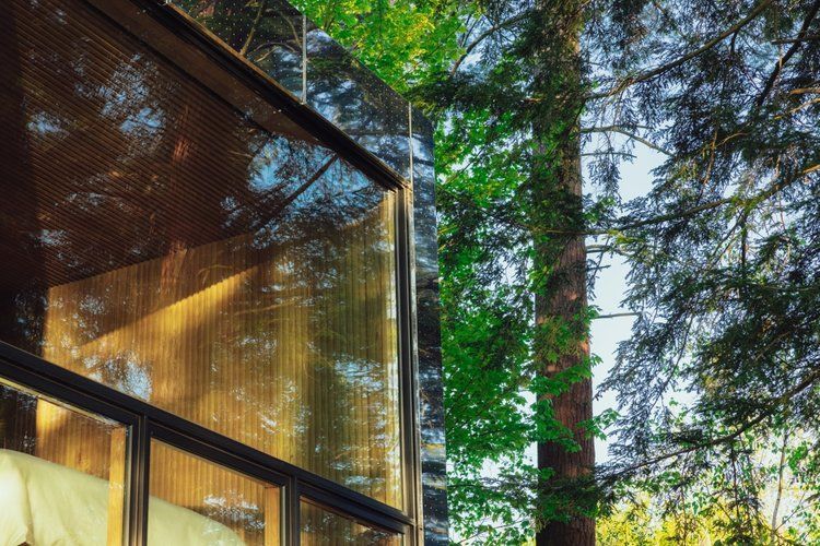 A house with a lot of windows is surrounded by trees.
