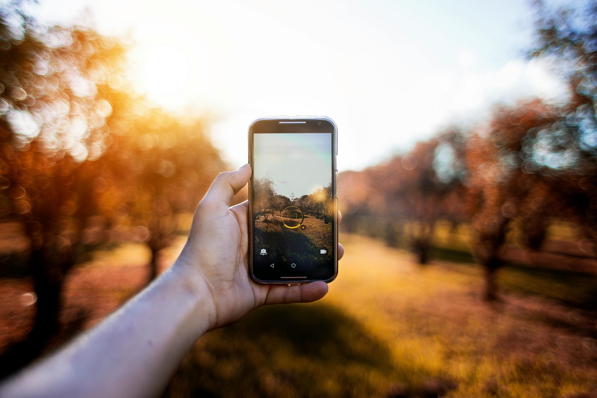 A person is taking a picture of a park with a cell phone.