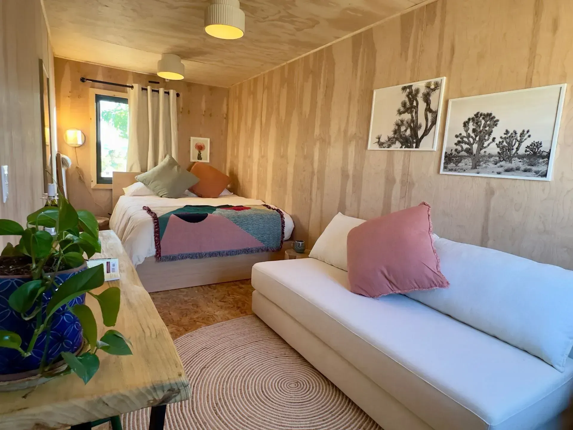 There is a bed and a couch in the room.