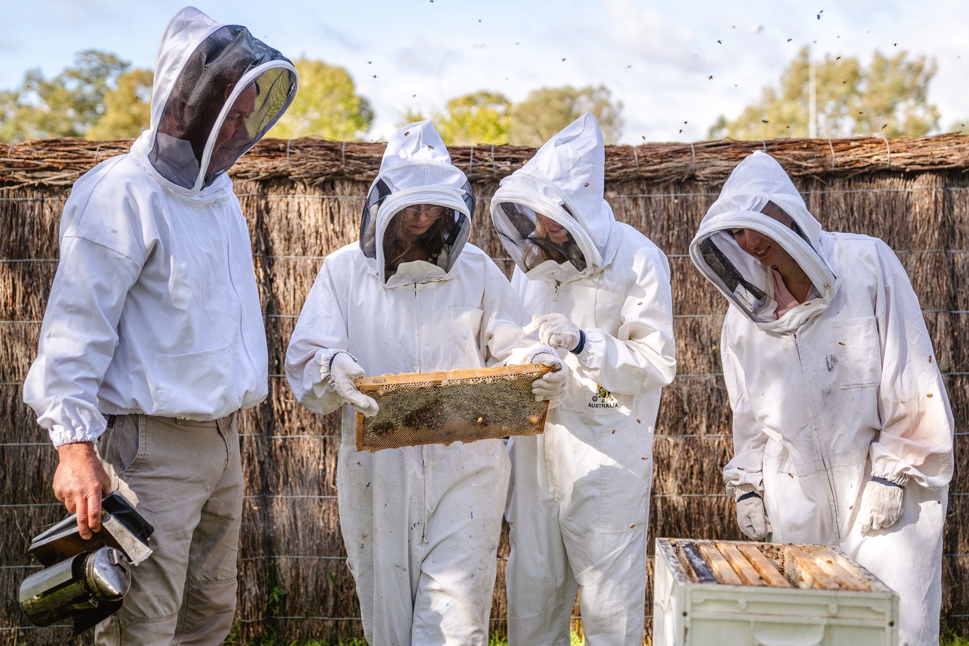 Swan Valley Beekeeping Experience Sat 16 Nov