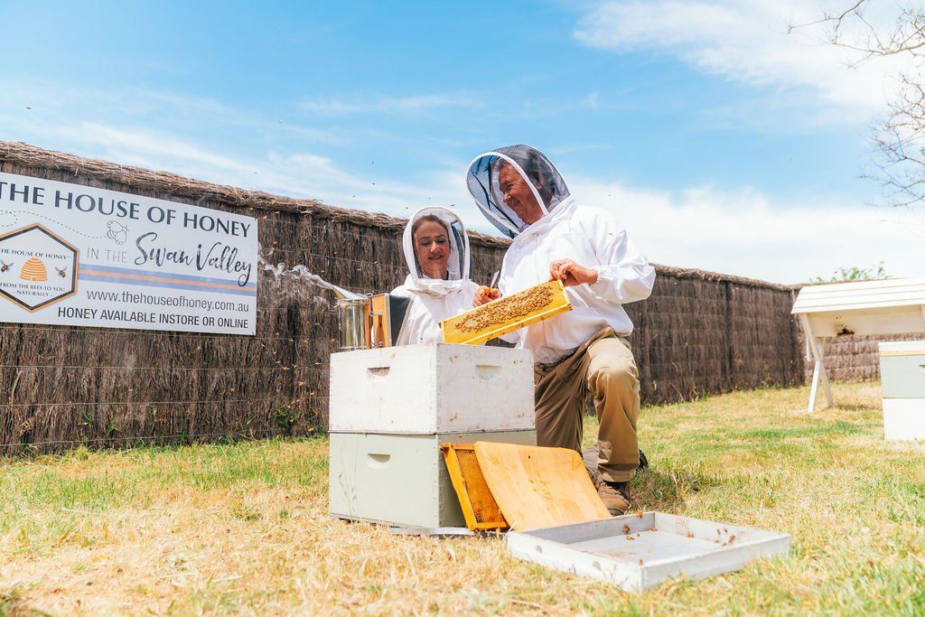 An important part of successfully keeping bees in any setting is the management of beehives