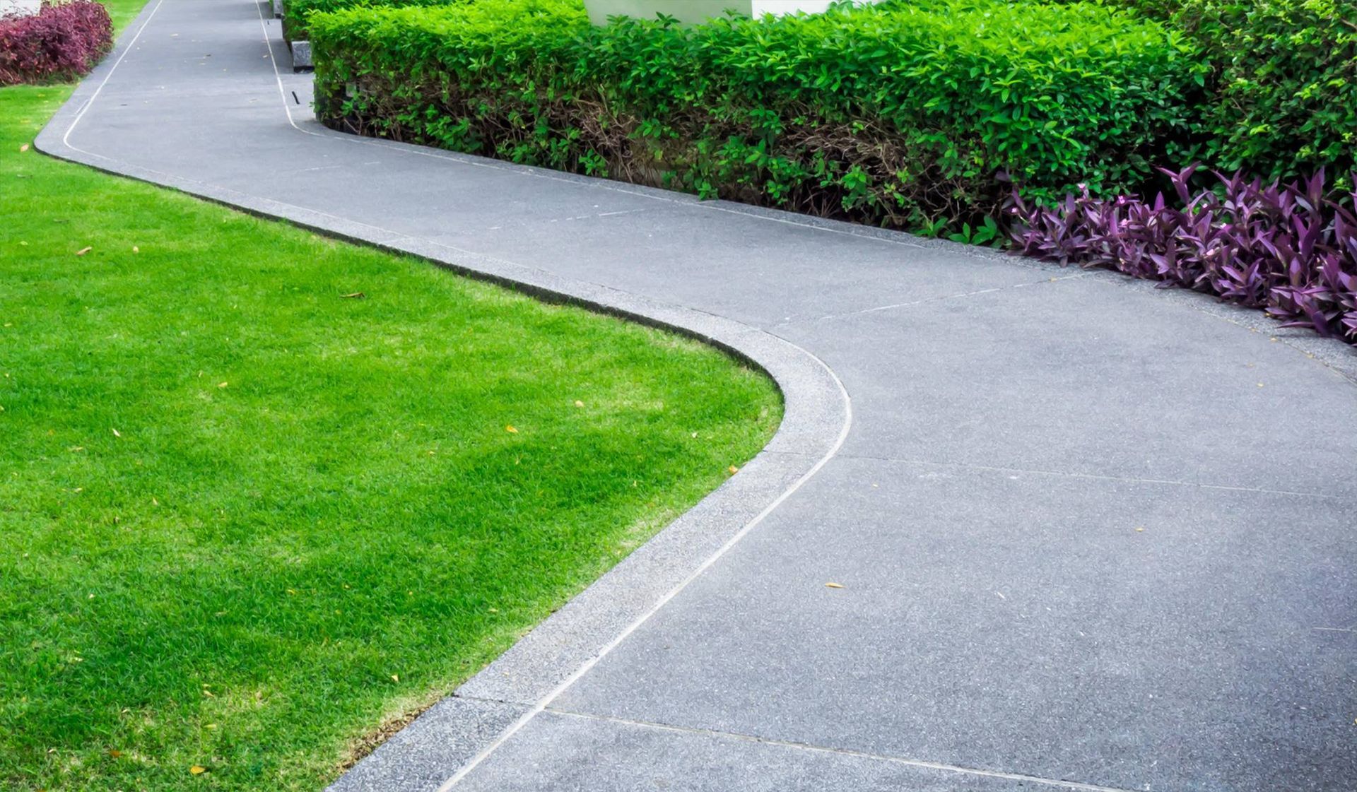 A driveway leading to a house surrounded by trees and bushes.