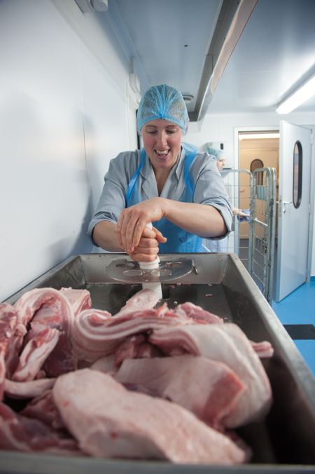 One of the Deli Farm staff grinds some of the freshly cut meat so it is ready to be mixed with the spices. Delabole, Cornwall. 17.11.15