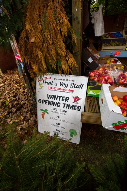 A sign for the winter opening times of the Fruit and Veg stall, placed amongst some of the trees and fruits in the stall. Perran-ar-Worthal, Cornwall. 30.10.15.