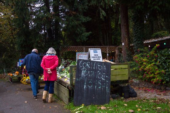 A couple browse which fresh fruit and vegetables are available. Perran-ar-Worthal, Cornwall. 30.10.15.