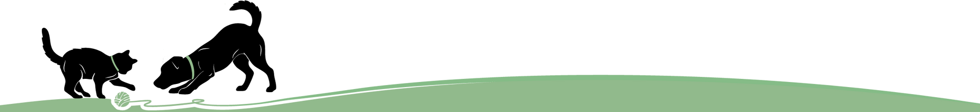 Silhouette of a cat and a dog playing together on a green strip.