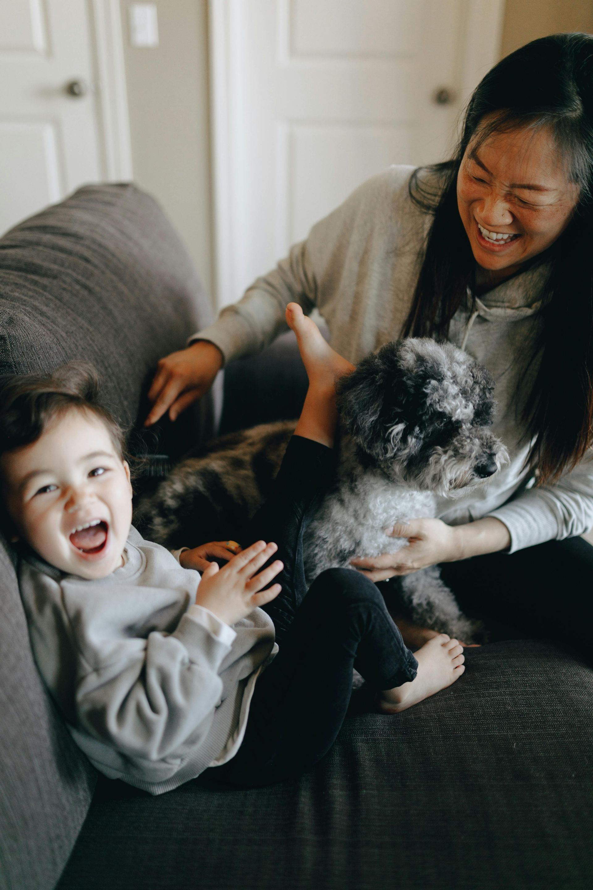 Woman and child laughing, playing with a small dog on a gray couch.