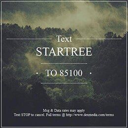 Startree - Erie, PA | Star Tree Service Inc. 