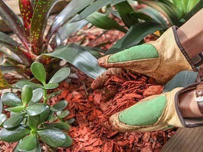 Wood chips - Erie, PA | Star Tree Service Inc.