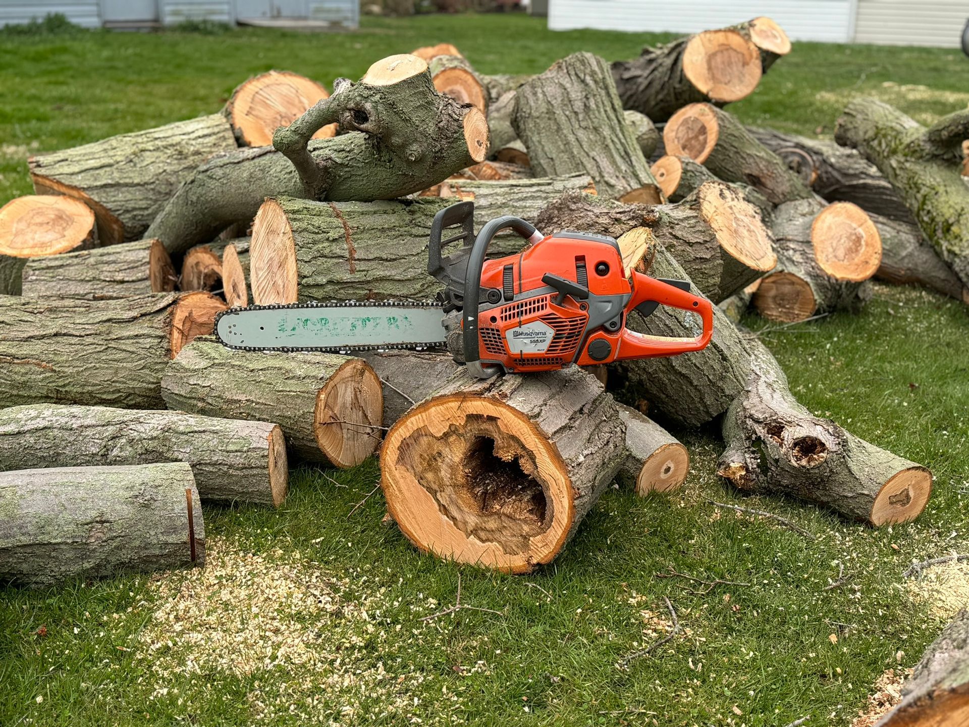 Firewood - Erie, PA | Star Tree Service Inc. 