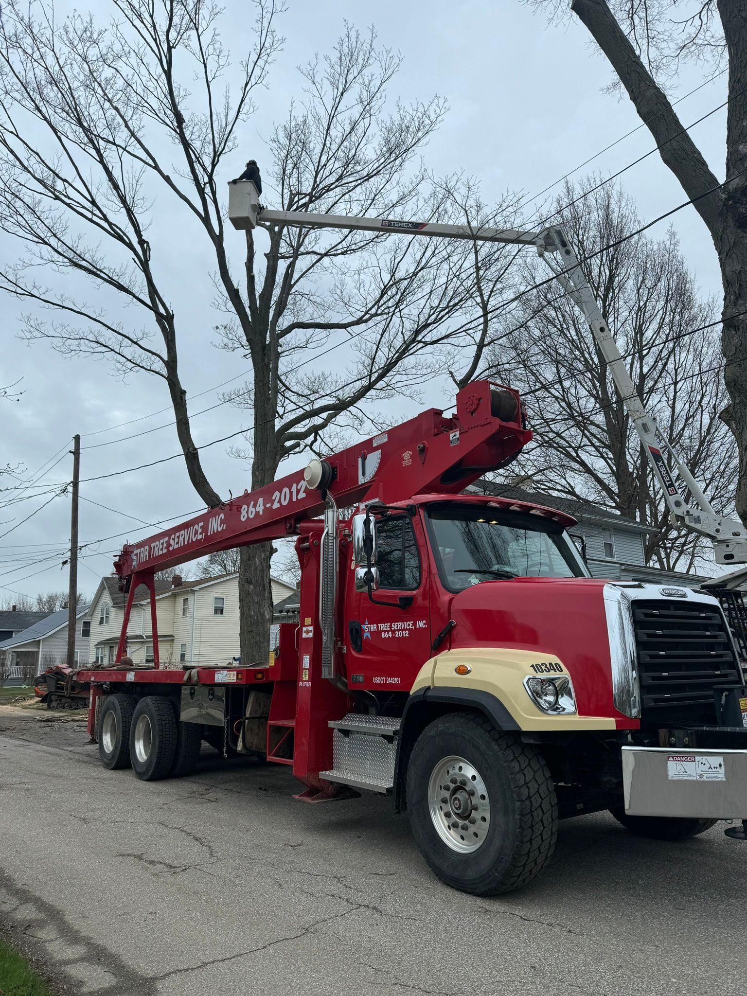 Tree service - Erie, PA | Star Tree Service Inc. 
