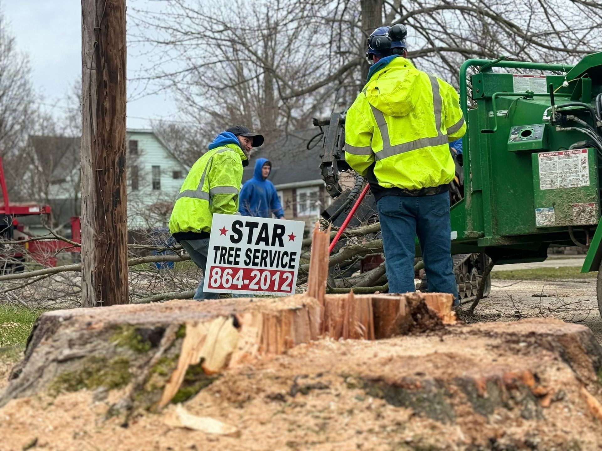 Stump - Erie, PA | Star Tree Service Inc. 