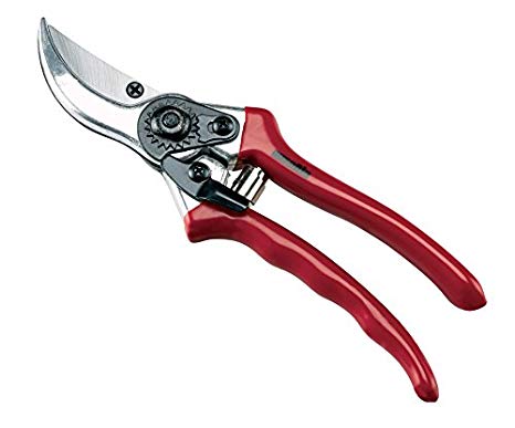 forbici per fiori e piante