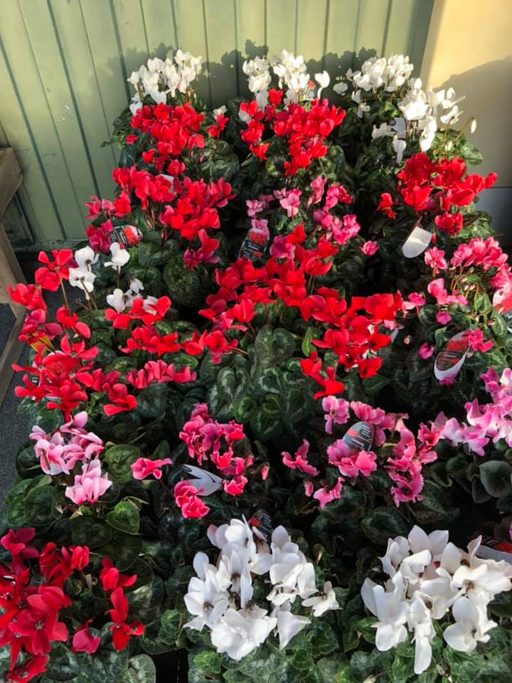 articoli per floricoltura