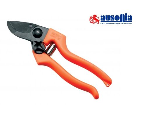 forbici e tronchesine