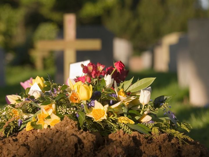 Green Burial Options in Georgia: Eco-Friendly Alternatives & Natural Cemeteries