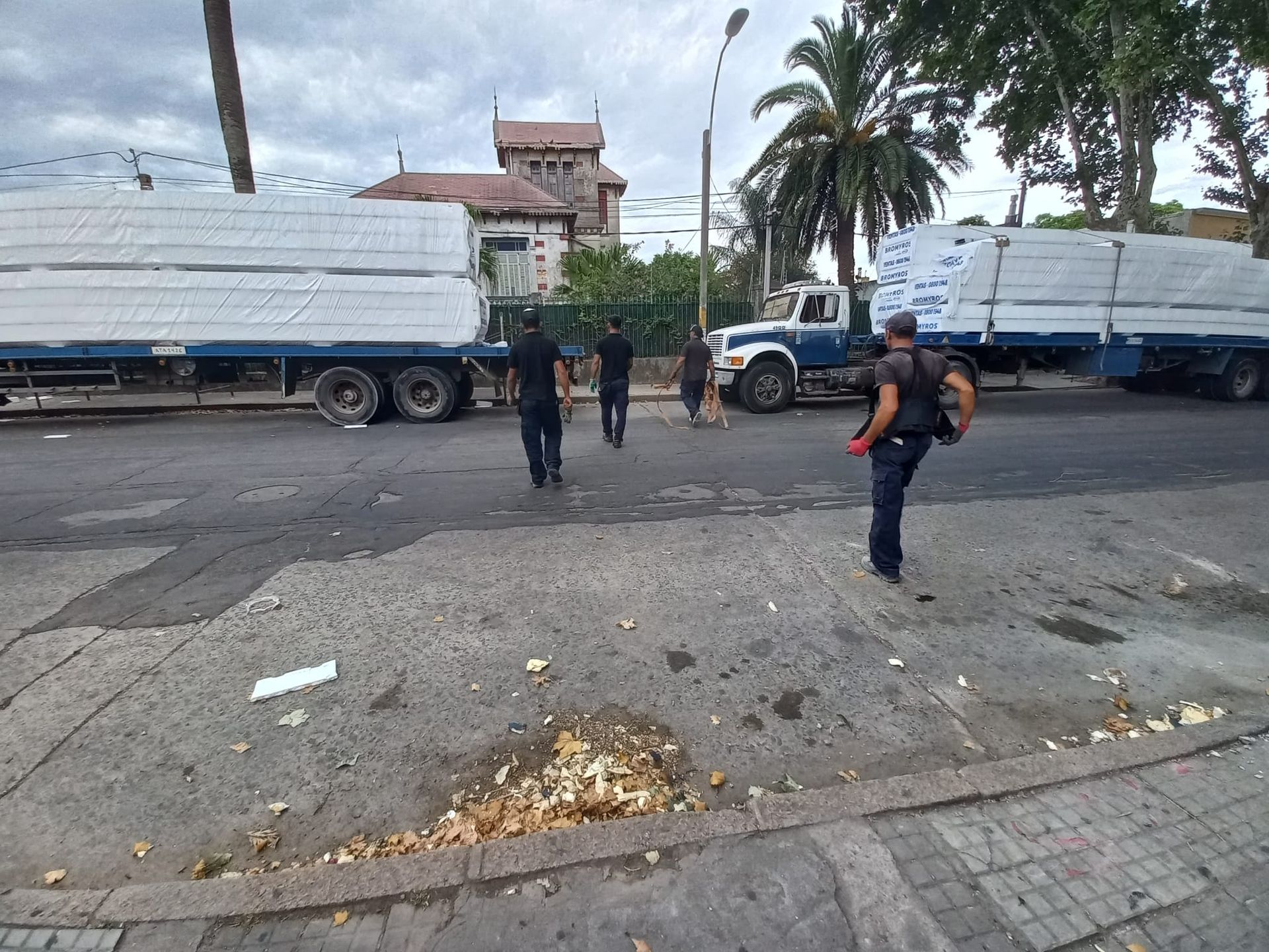 GALPONES - TINGLADOS Y ESTRUCTURAS