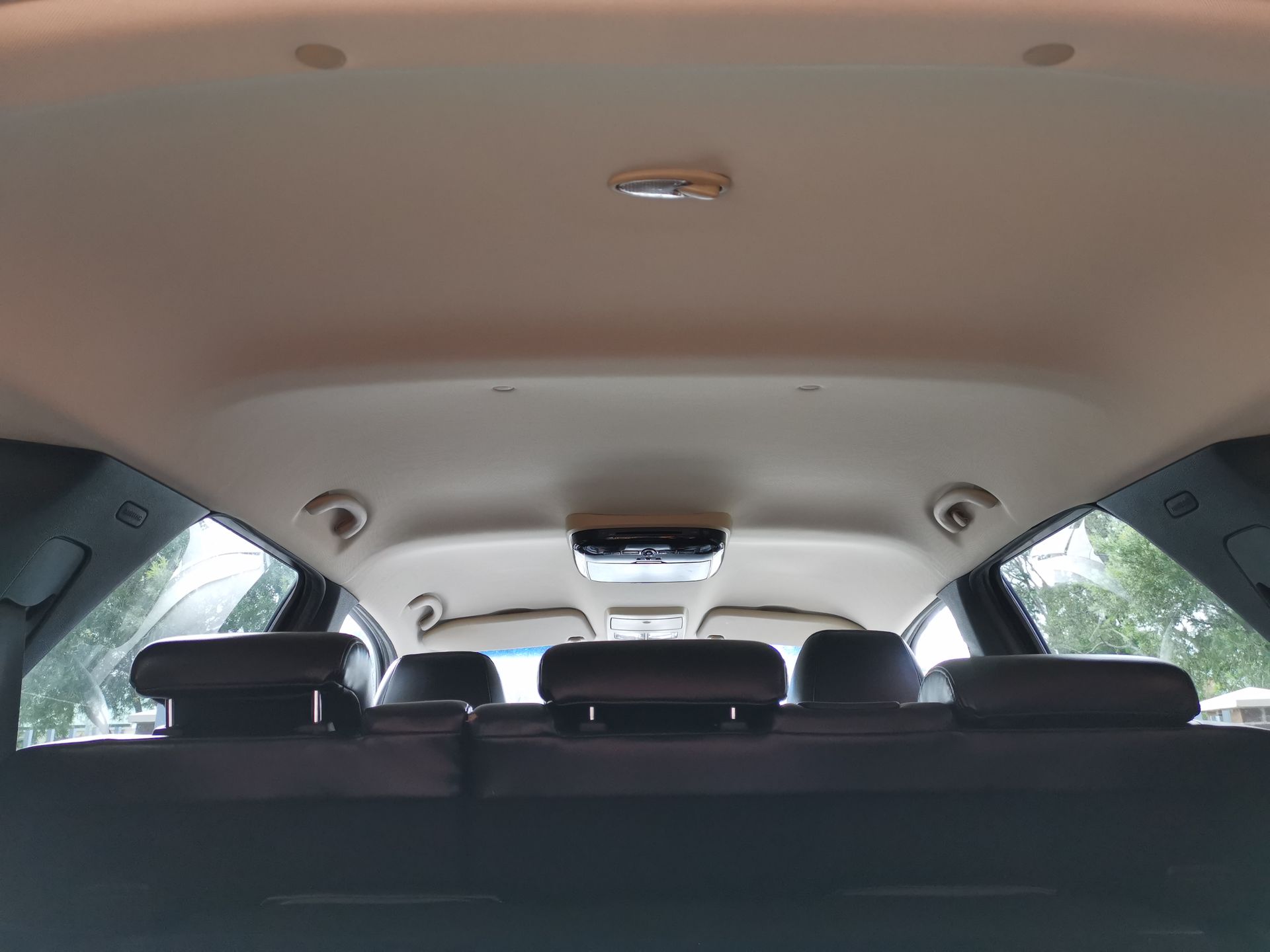 Interior car roof, showing headrests, overhead lights, and visible rear windows.