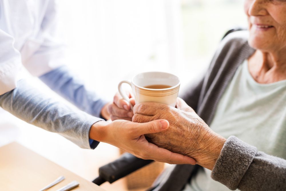 Caregiver Offering a Cup of Tea to an Elderly Woman, Indoors — Ballina Home Healthcare Sales & Hire and Compression Stockings Plus in Ballina, NSW