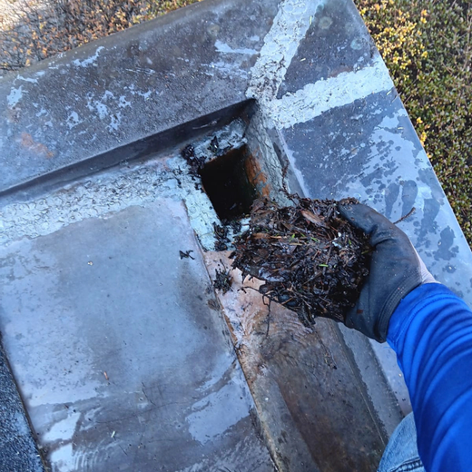 A hand holding debris from a drain on a concrete surface.
