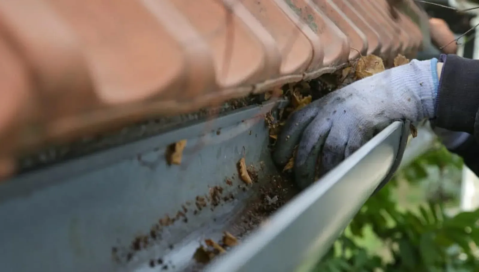 Gloved hand cleaning a gutter filled with debris.