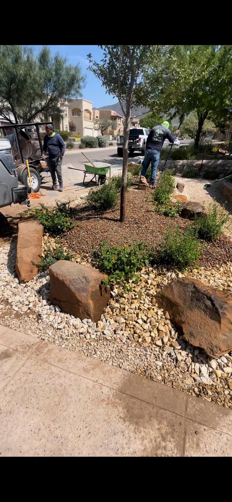 A group of people are working in a garden.