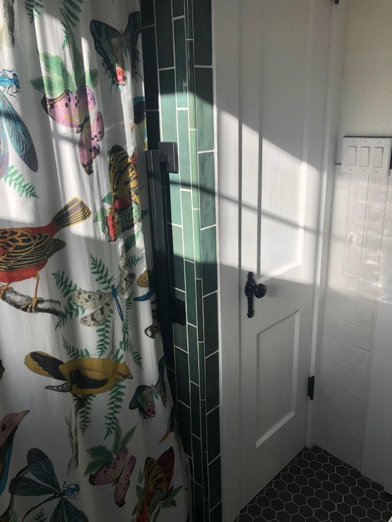A bathroom with a shower curtain with birds on it