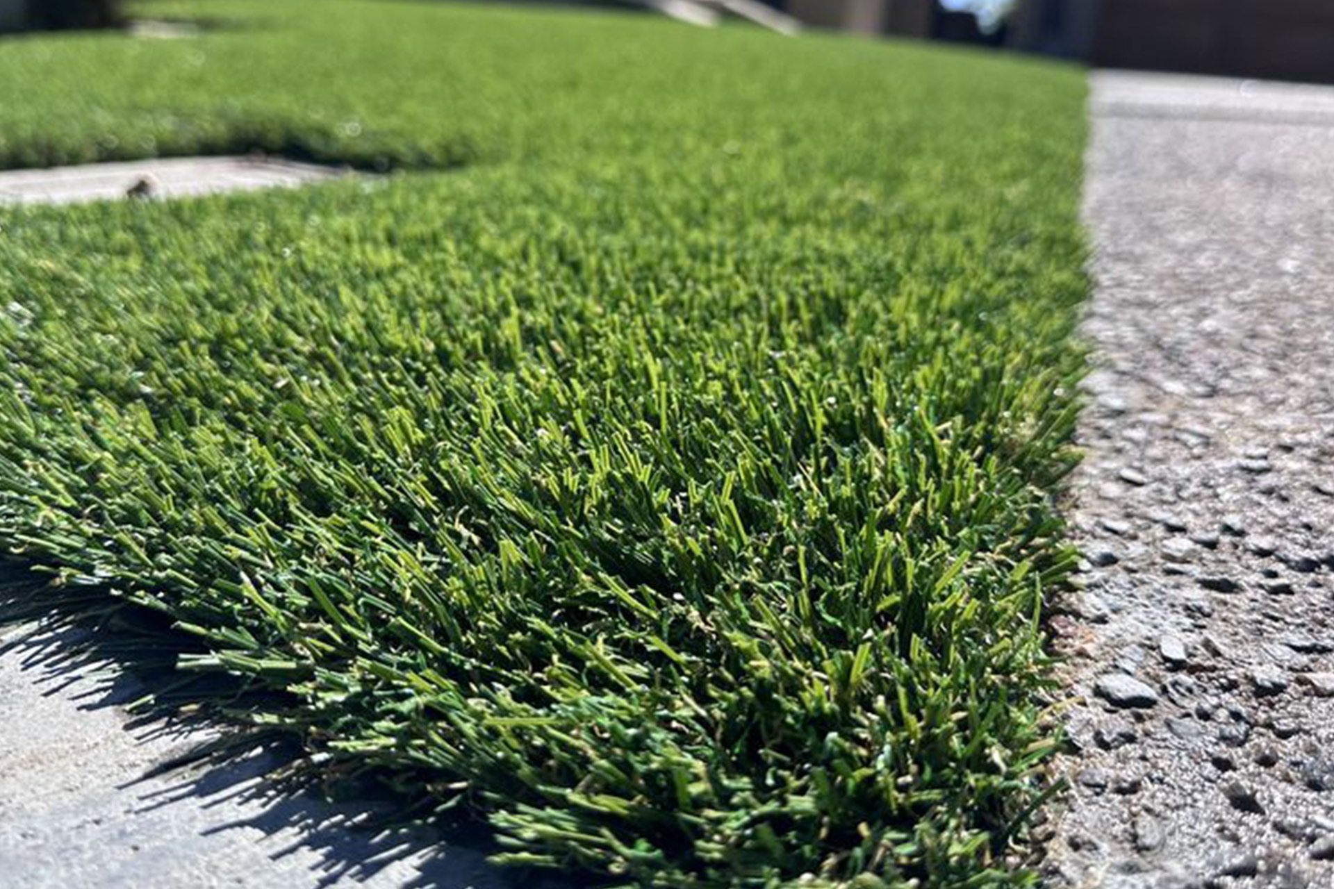 A close-up view of vibrant green artificial turf bordering a textured concrete sidewalk.