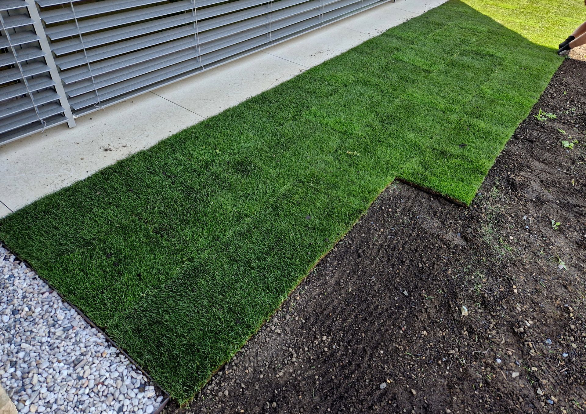 A patch of newly laid green sod next to a concrete walkway, a gray metal fence, and a strip of dark soil.