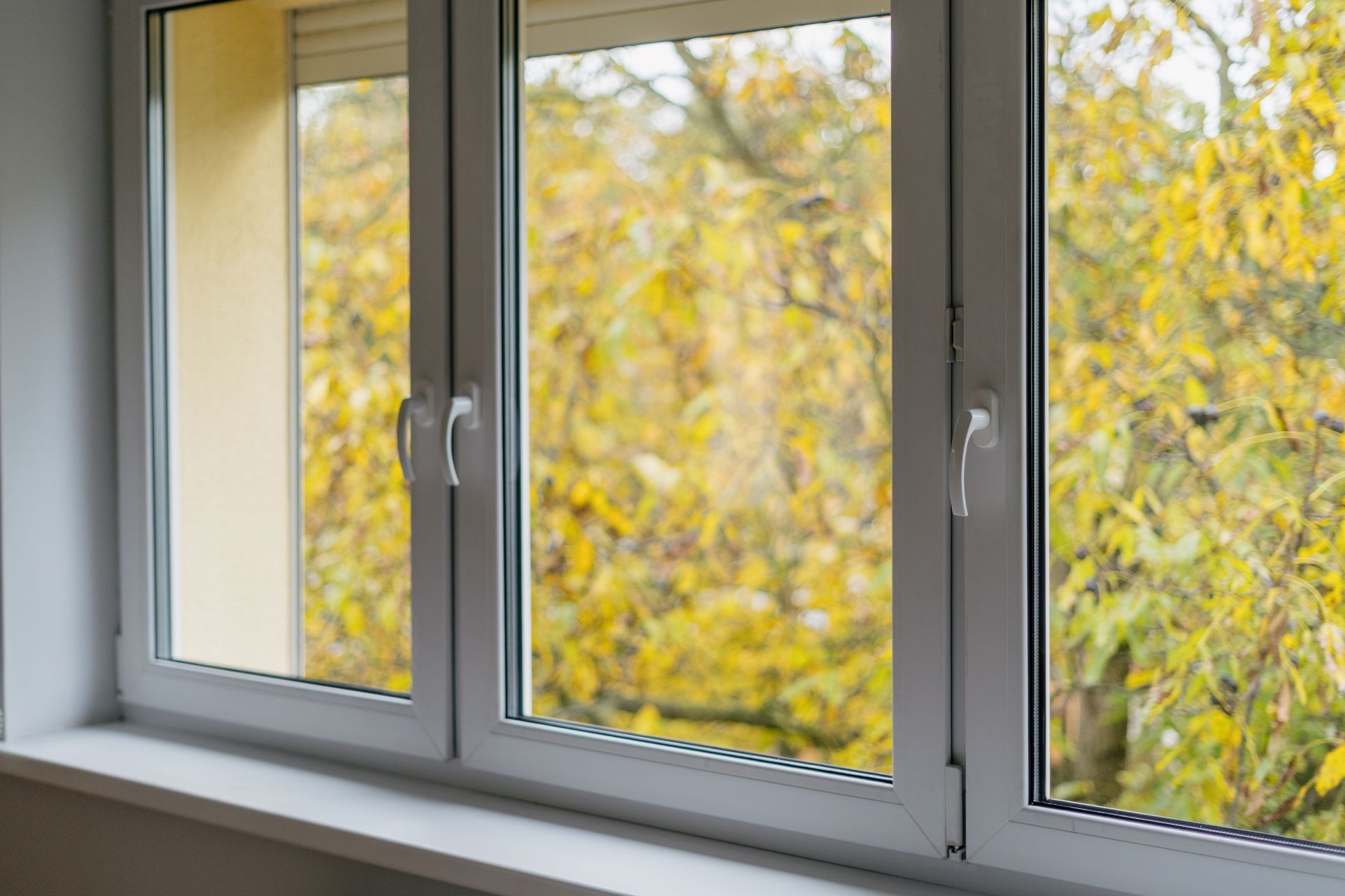 Window Installation Services