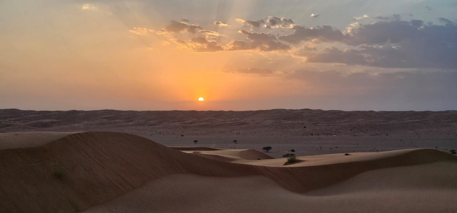 Wahiba Sands Sharqiyah Sands Desert Oman