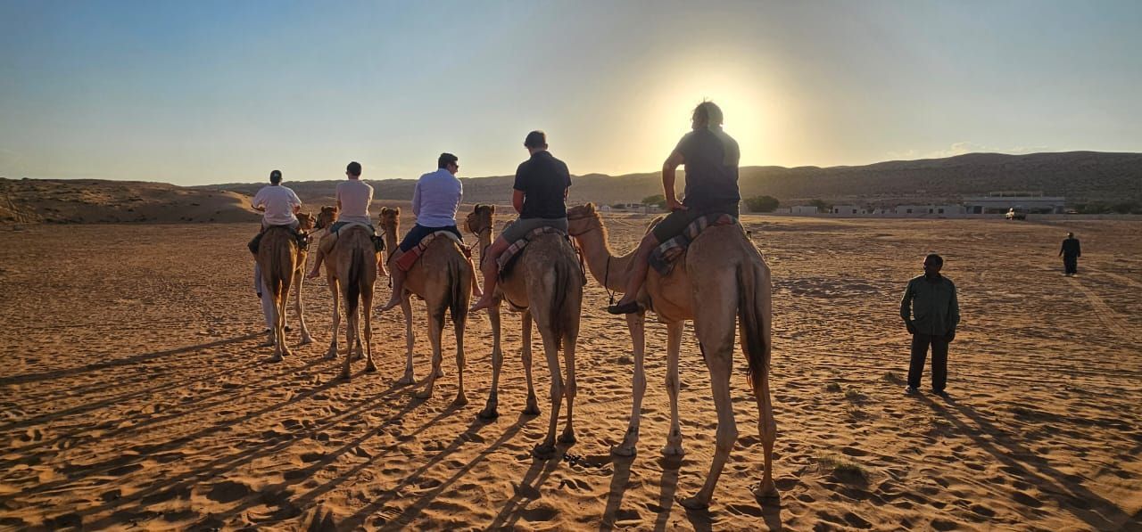 Camel caravan in Wahiba Sands/ Sharqiya Oman