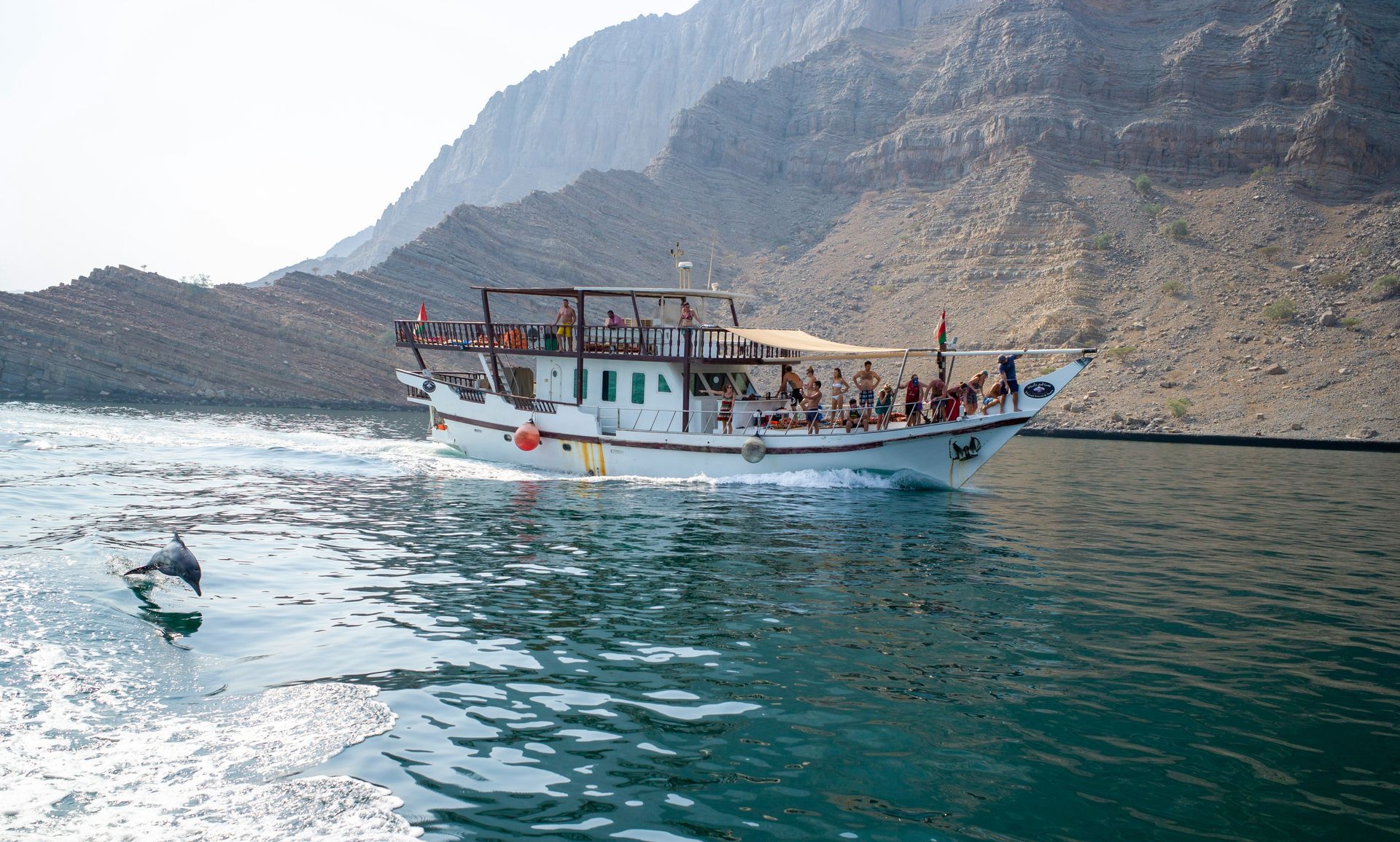 Dhau Cruise and dolphin watching in Oman