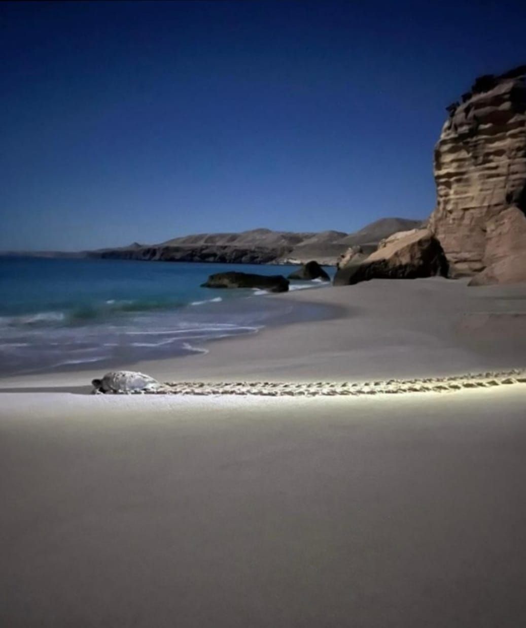 Ras+Al+Jinz_Hadd_Turtle_Night_Coast_Ocean