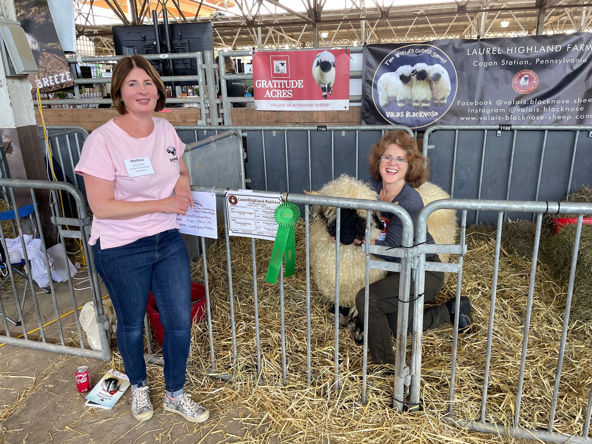 USA National Valais Blacknose Sheep Show Platinum Sponsor 2023 Parkdale NZ New Zealand